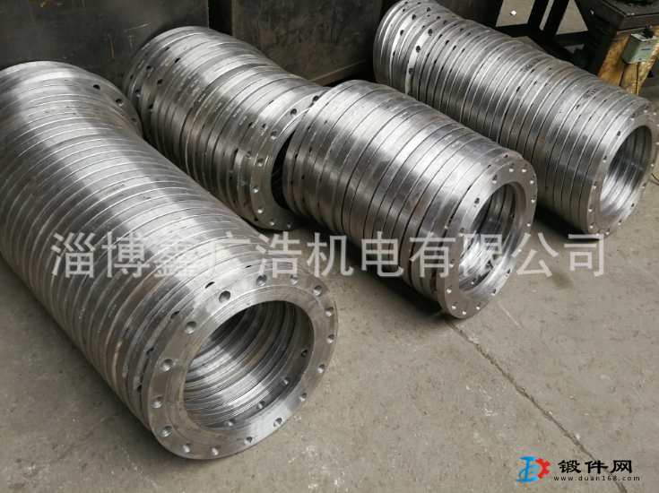 供應(yīng)dn200碳鋼法蘭