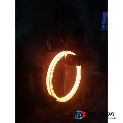 專業(yè)生產(chǎn)各種材質(zhì)不銹鋼及A105，45#，40G?r鍛件