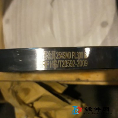 供應(yīng)254SMO不銹鋼法蘭，平焊法蘭，對(duì)焊法蘭，法蘭蓋