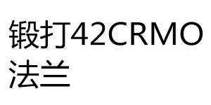 鍛打42CRMO法蘭